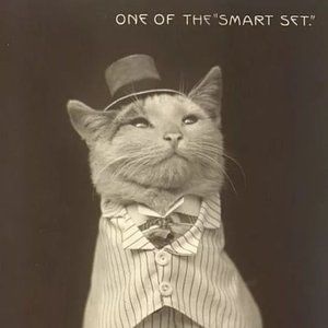 Meet your Posher, Margaret